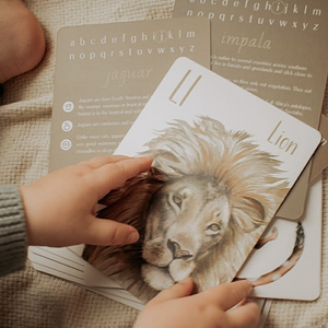 Animal Alphabet Cards for Kids
