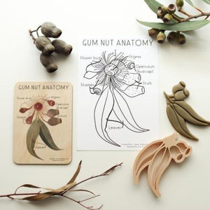 Wooden Anatomy Tile + Colouring Card Set