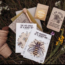 Load image into Gallery viewer, Contents of Seeds for Bees Kit open on the grass outside.
