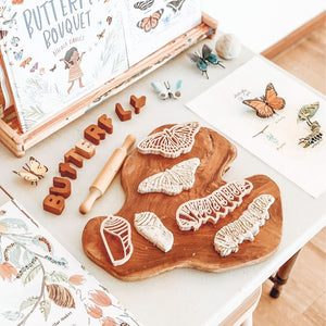 Kids Eco Dough Cutters-Butterfly Life Cycle