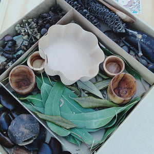 Montessori Sensory Box- Australian Bush Collection