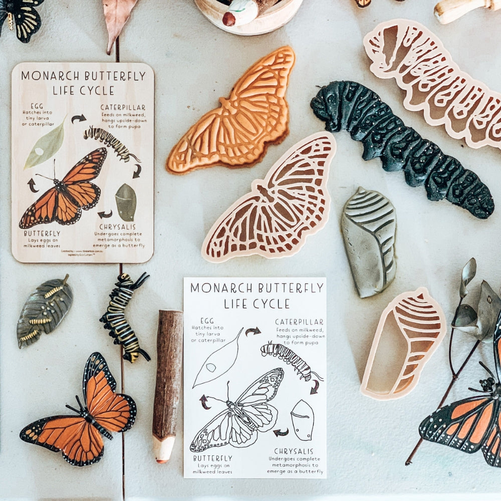 Wooden Anatomy Tile + Colouring Card Set