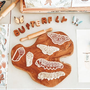 Kids Eco Dough Cutters-Butterfly Life Cycle