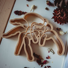 Load image into Gallery viewer, Kids Eco Dough Cutters-Jumping Spider