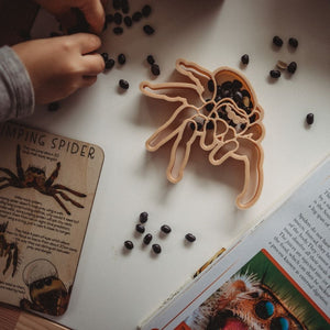 Kids Eco Dough Cutters-Jumping Spider