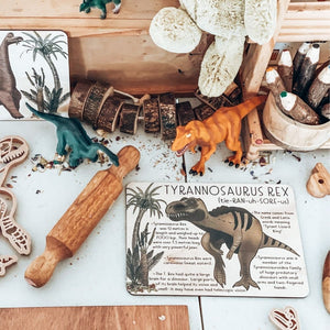 Dinosaur Pack- Playdough Eco-Cutter and Jumbo Fact Tile