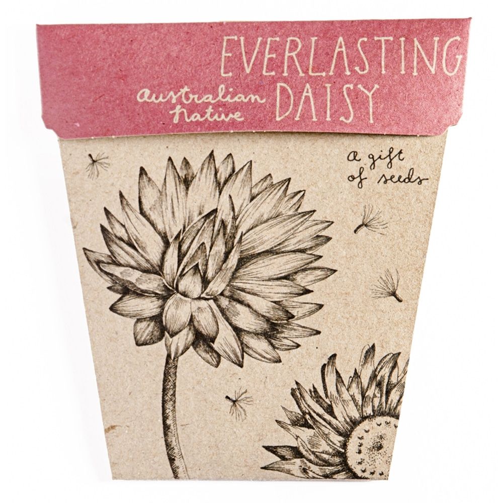 Everlasting Daisy Seeds Gift Card