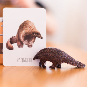 pangolin-figurine-near-pangolin-flash-card